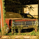 Image for article titled The Mystery of Flickr's Ghost Car Dealership